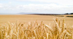 Australian farmers expecting an excellent crop 2022